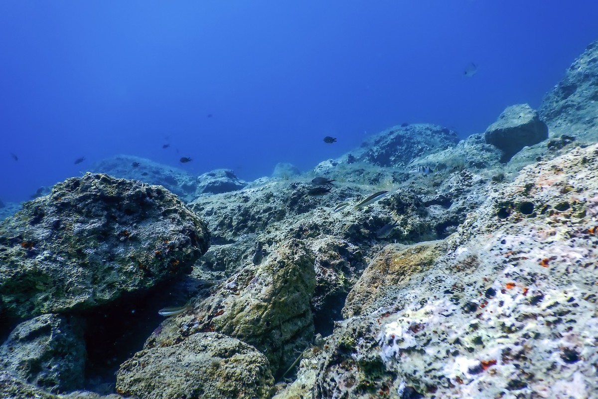 Naukowcy wykryli dziwną anomalię sprzed 10 mln lat na dnie Pacyfiku