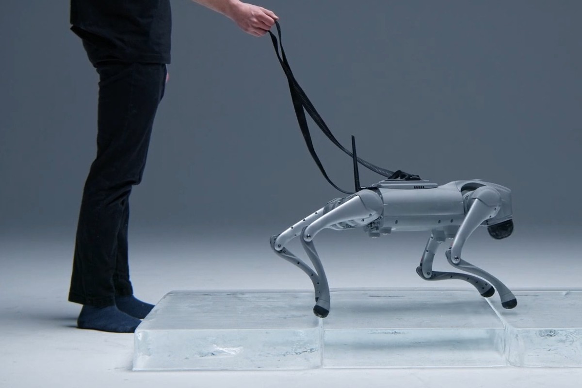 Ten pies-robot sam się uczy. Do sieci trafiło nagranie