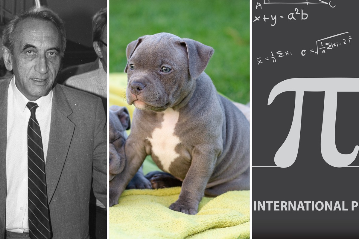 Quiz z wiedzy ogólnej dla bystrzaków. choćby oni polegną na 3. pytaniu