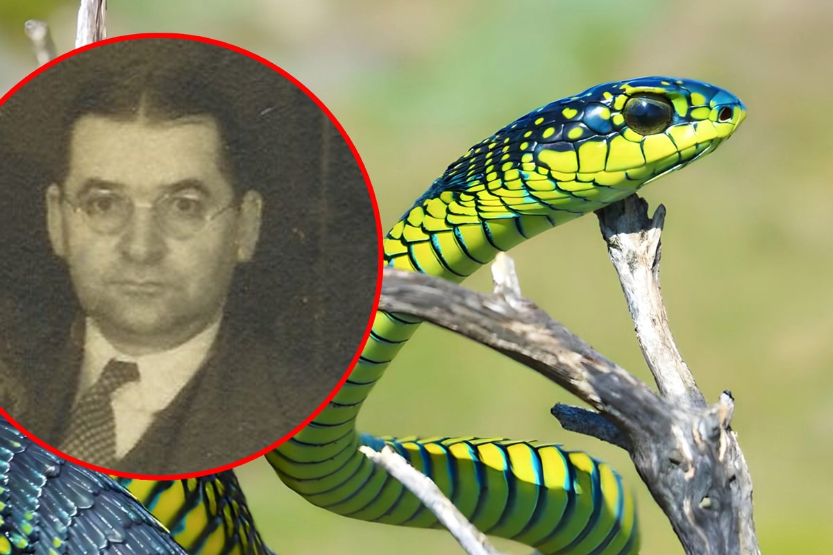 Naukowiec opisał swoją agonię. Jego zapiski mrożą krew w żyłach