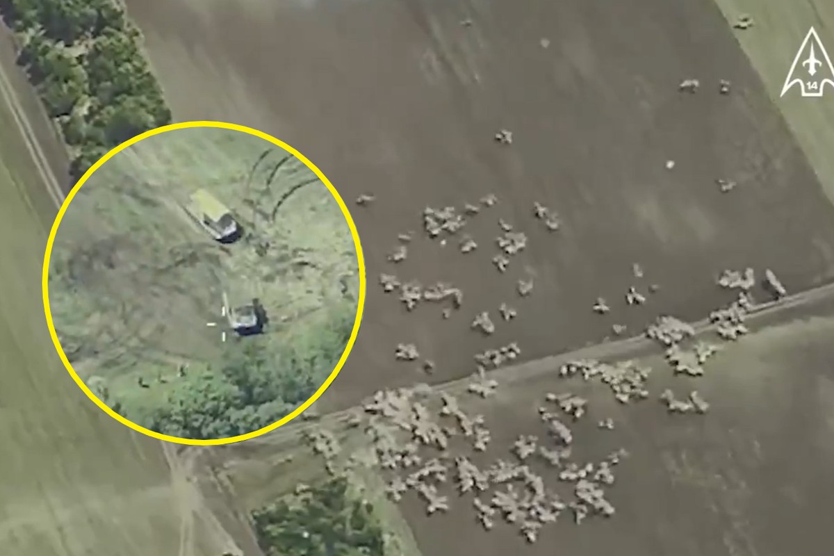 Rosjanie „bezczelnie” na tyłach Ukrainy. HIMARS sprawił, iż „zapłacili sprzętem i ludźmi”