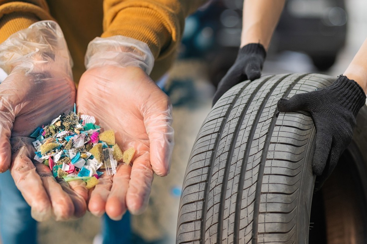 Łososie giną przez… opony. Motoryzacja musi znaleźć rozwiązanie