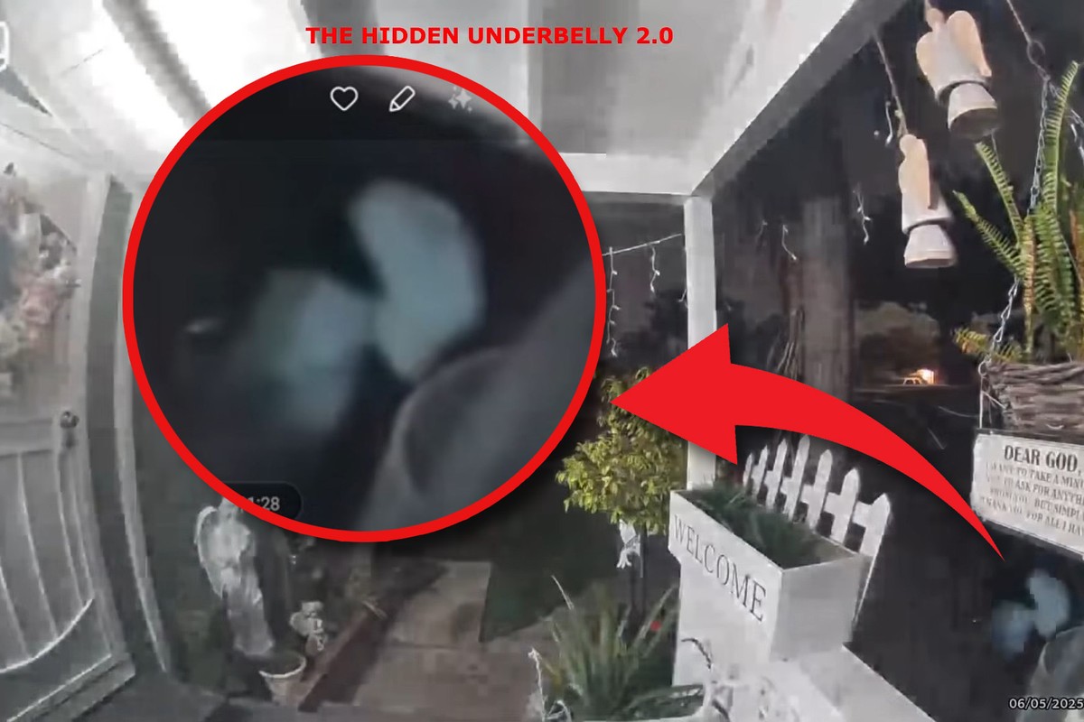 Tajemnicza istota na podwórku w Kalifornii. Kamera zarejestrowała „obcego”?