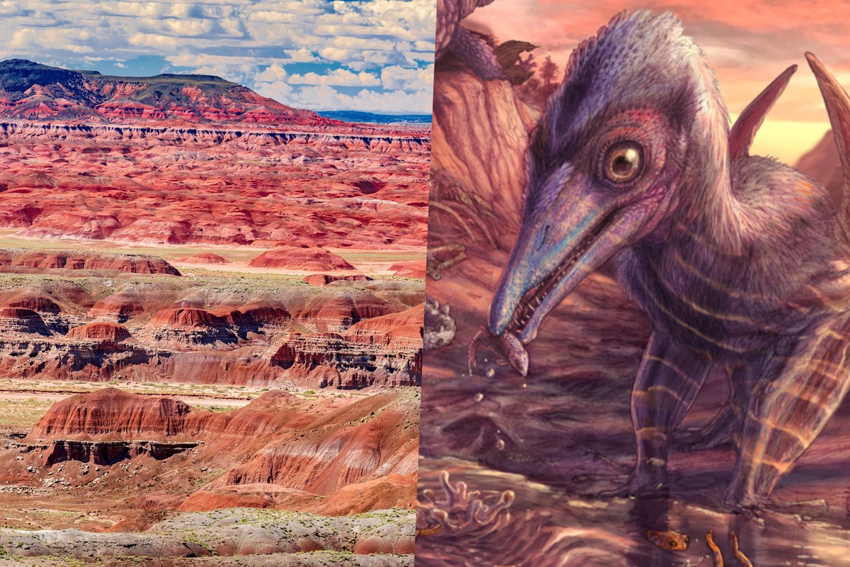 Naukowcy odkryli nowy gatunek sprzed 209 mln lat. „Bogini świtu”